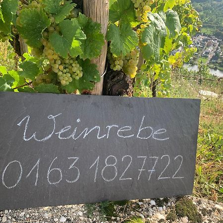 Appartement Weinrebe à Commune fusionnée de Commune fusionnée de Bernkastel-Kues Extérieur photo