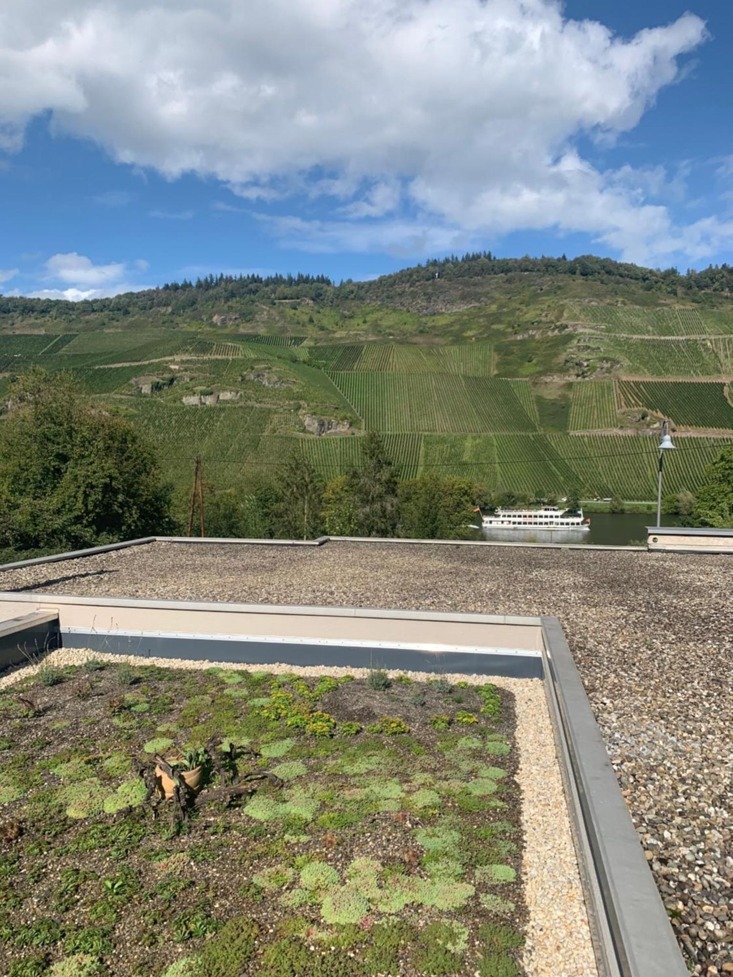 Appartement Weinrebe à Commune fusionnée de Commune fusionnée de Bernkastel-Kues Extérieur photo